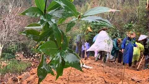 农夫山泉武夷山事件进展：施工人员已撤离，被毁便道正恢复植被