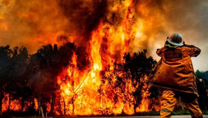 山火,莫里森,适应能力,气候变化,澳大利亚总理,澳大利亚国立大学,气候问题,韧性,2019年,地球变