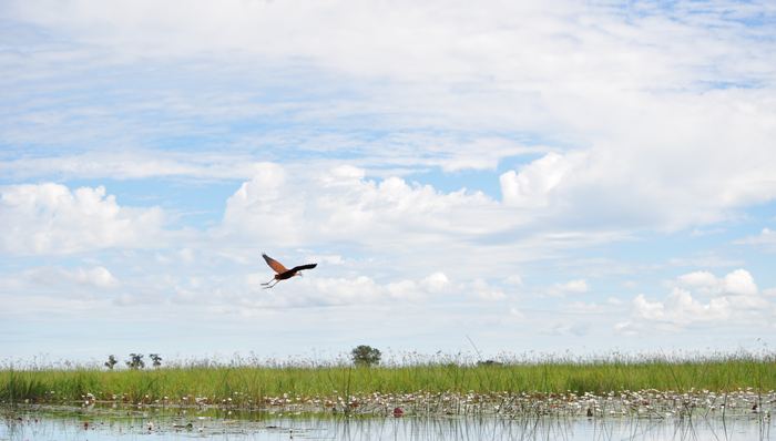 上海关注,上海两会