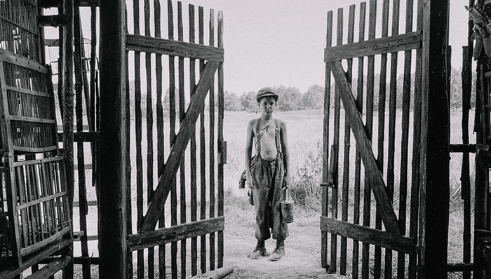 电影,影评,大屠杀