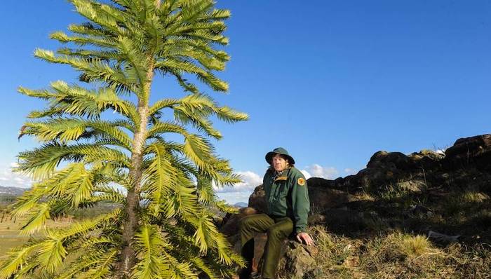 天下故事,惊奇的发现