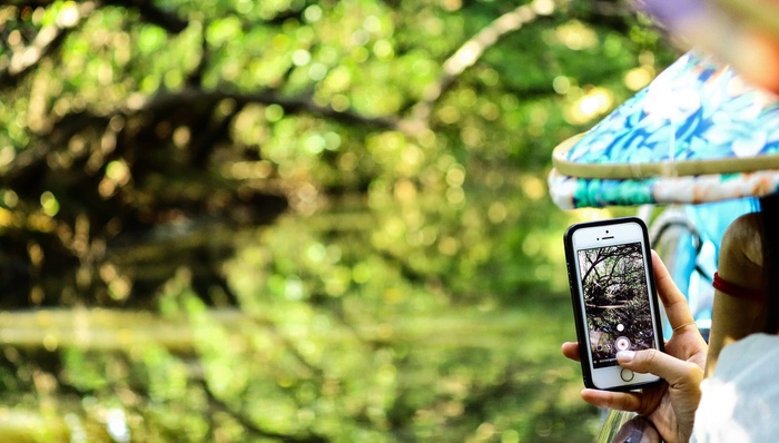 景区用猪蹦极作噱头，营销创新不等于恶趣味