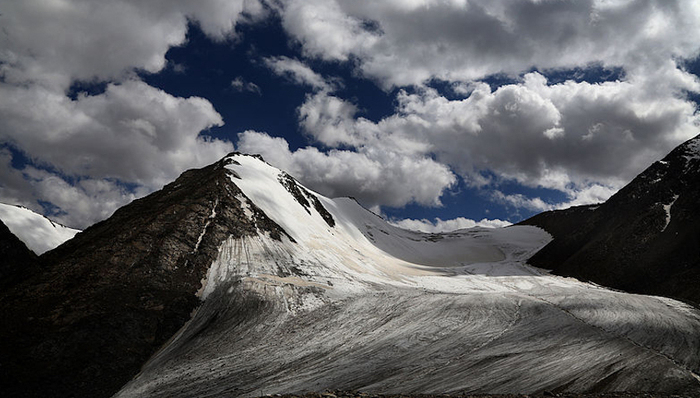 抄袭事件,影视产业,思想界,学术圈