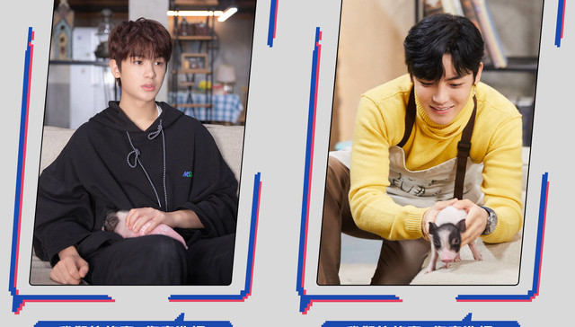 综艺讯 | 朱正廷加盟旅游综艺《初心在路上》 彭昱畅黄明昊《我加》0201开播