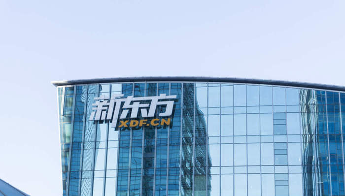 新东方,财报,教育