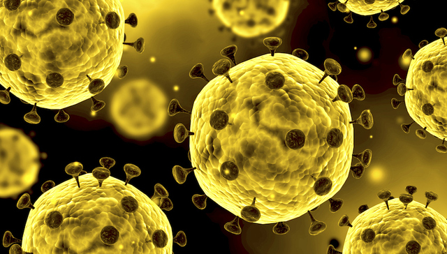 北大免疫学专家王月丹：春运有可能会导致新型冠状病毒传播，却未必会加速传播