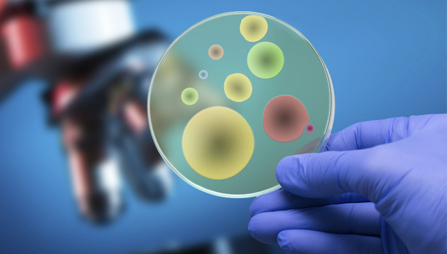 鲍勇剑：降低新型病毒的社会恐慌，除了信息公开还要做好这12件事