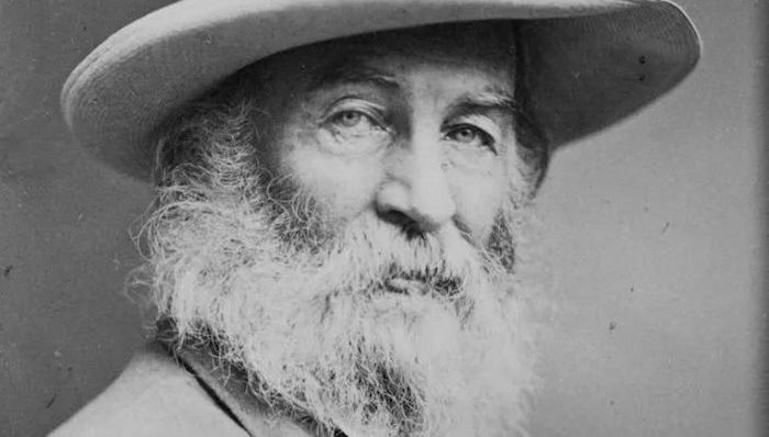 作家,纪念,诗人