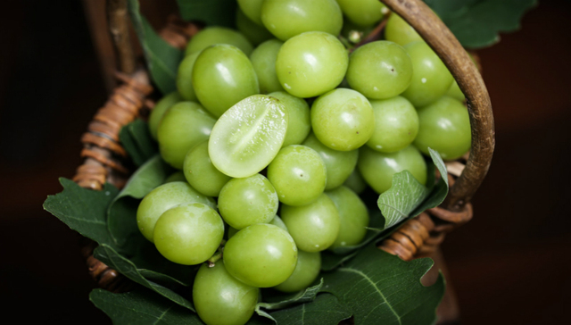 【特写】700块一串的“日本”香印青提，究竟在吃什么？