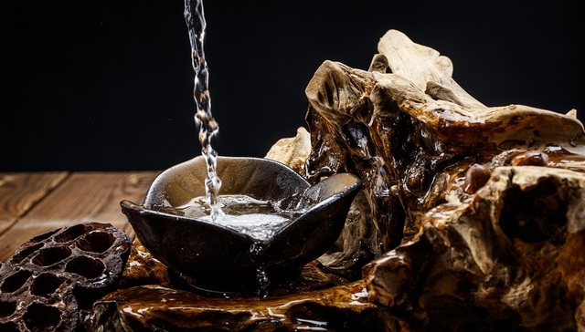 金种子酒,白酒,上市公司