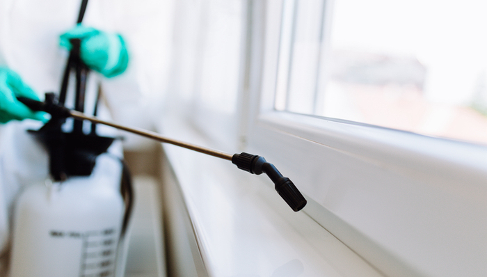 白岩松连线国家卫健委高级别专家组成员高福：要把武汉输出的病例控制到零