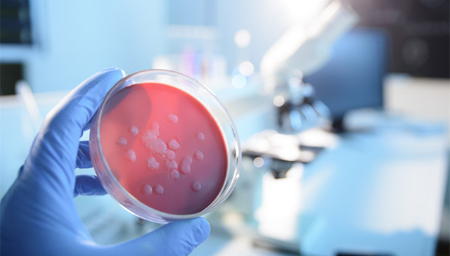 湖北卫健委：新冠肺炎进入第二波流行上升期