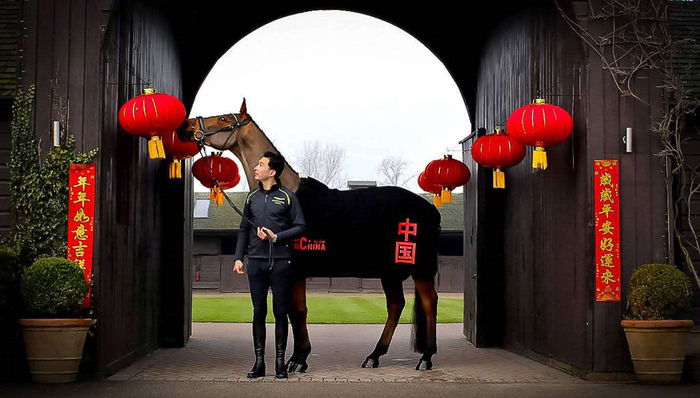 专访骑手华天：东京奥运，中国马术踏出“第一步”
