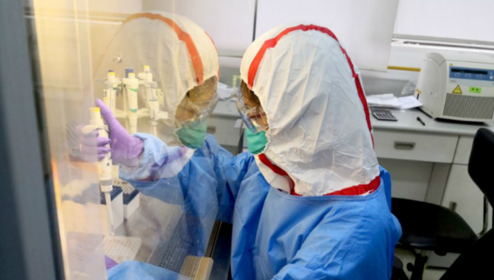 上海疾控：疑似病例24小时内可出检测报告，试剂后续储备供应充足