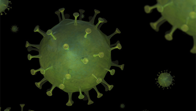 湖南怀化8例新冠肺炎病例中3例涉南京中脉，系参加公司年会被感染