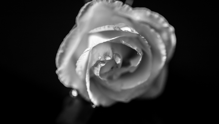 长江财险董事长、原黄石市市长杨晓波因重症肺炎去世