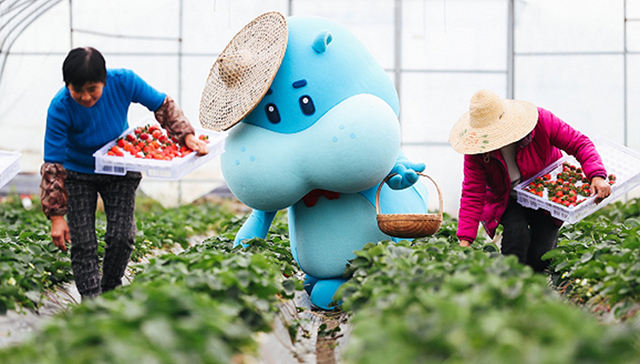 快看 | 开启员工共享模式？部分停业餐饮企业员工将赴盒马“上班”