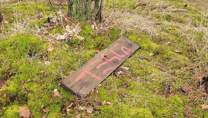 欧洲社会,投资,特斯拉