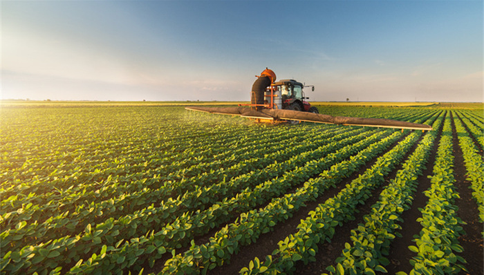 三农,中共中央,全面小康,受权,重点工作,领域,国务院,发布,意见