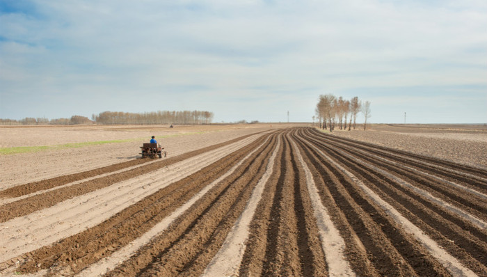 一号文件,三农,土地政策,