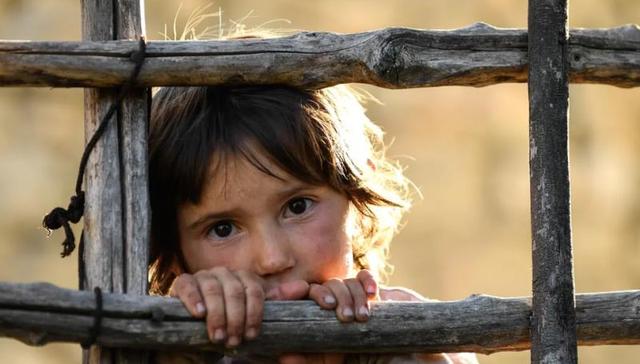 被撕裂与待和解的——奥斯卡国际电影里的人际关系