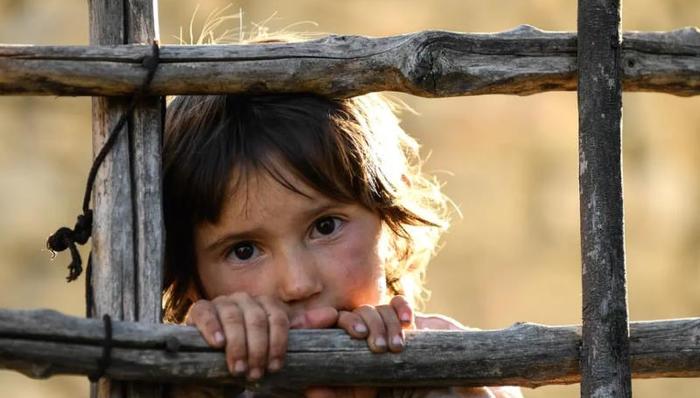 被撕裂与待和解的——奥斯卡国际电影里的人际关系