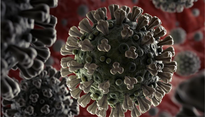 新冠肺炎,天下故事