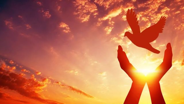 疫情之下怎样做慈善，慈善信托也是一种选择