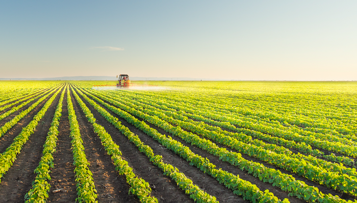 农业板块,涨停,新农开发,大北农,万向德农,,隆平高科,登海种业,敦煌种业,荃银高科,丰乐种业,农发