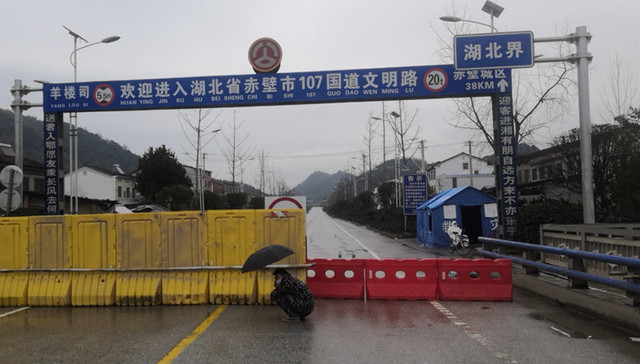 两个被困湘鄂界桥之上的返乡武汉人丨疫中人⑤