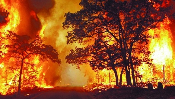 天下奇闻 | 澳新州大火烧了7个月终于灭了 CIA被曝利用瑞士加密公司窃听120国