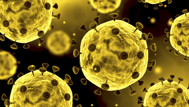 钟南山团队在粪便中检出新冠活病毒，卫健委：不意味主要传播途径发生变化