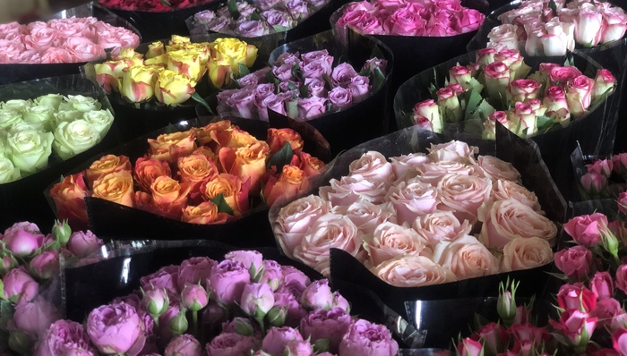 百万支鲜花被销毁，这个情人节云南花农平均损失过万