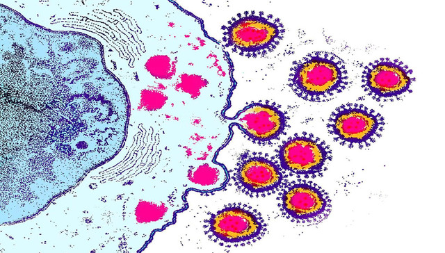 财经数据 | 湖北以外新增新冠病例连降10天