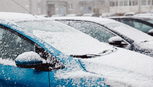 最低温度,强冷空气,短时雷雨,洋山,降水过程,转阴,大棚,吴文俊,大雾,中心气象台