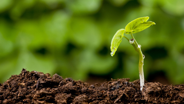 A股再融资新规深夜重磅落地！放松发行规模至总股本30%，新老划断更为宽松