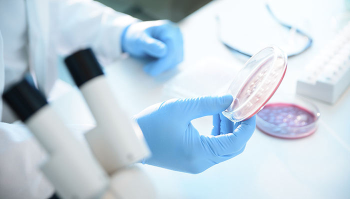 新冠肺炎,天下故事