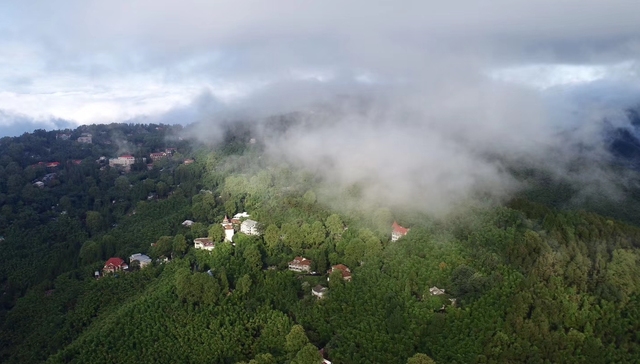 没客人没收入，莫干山的民宿想了这些办法自救