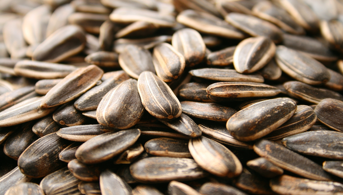 休闲零食,三只松鼠,好想你,盐津铺子,洽洽食品,来伊份,武汉新冠肺炎疫情,涨停