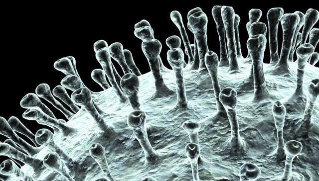 钟南山：“人传人”仍未停止，迫切需要将正常人和病人分开