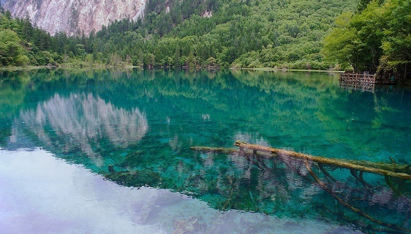 景区游客,疫情防控,指南,网络实名制,购票,蓝牙耳机,游客入园承诺书,游客健康状况登记表,景区新冠肺