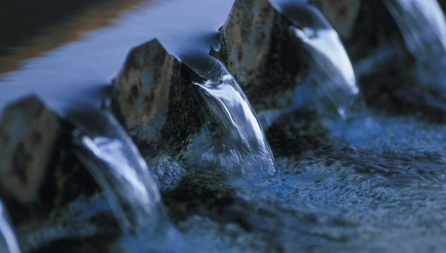 野生动物,灰胸竹鸡,投加量,死亡案例,消毒效果,消毒处理,游离氯,医疗废水,脱氯,传染源