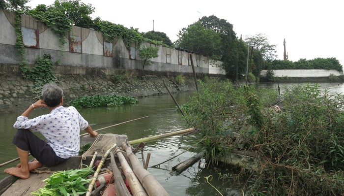 艺术家,人与自然,新冠肺炎