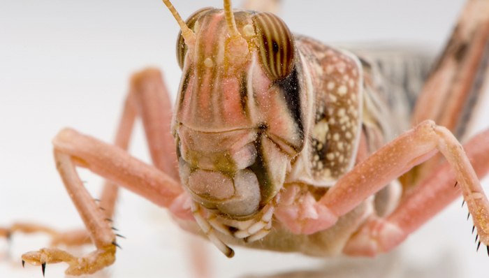 天下故事,惊奇的发现