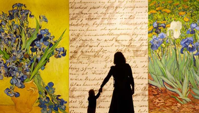 梵高,活动与展览