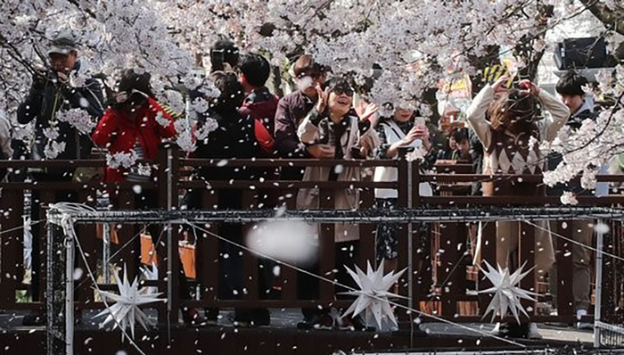 亚洲社会,新冠肺炎