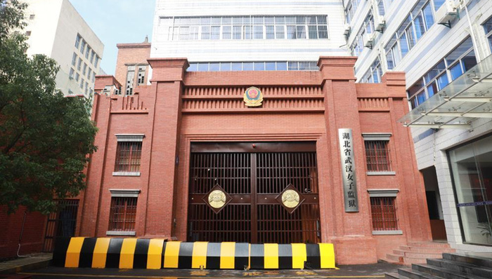 司法部牵头的联合调查组公布“女子离汉抵京事件”调查结果