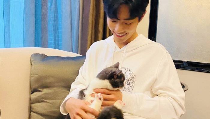 【特写】沉默不能解决问题，肖战这次应该为粉丝的行为“买单”