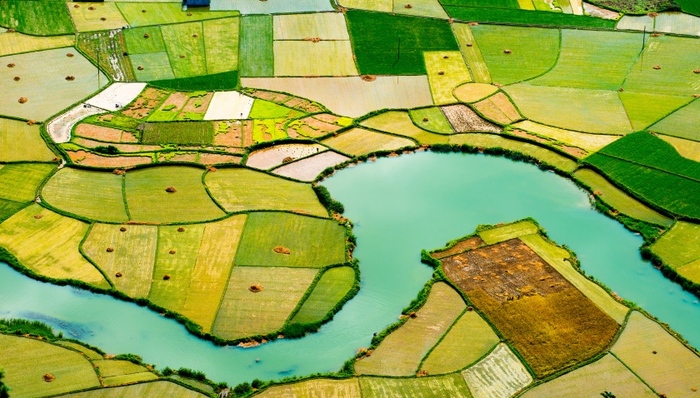 检察机关两年起诉涉侵害农村留守儿童犯罪5412人，13824人因非法占用农地被诉