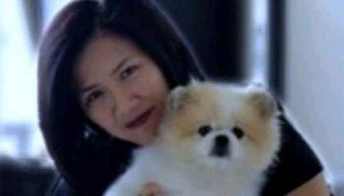 香港称一确诊患者的宠物犬低程度感染新冠，专家：还需要更多证据